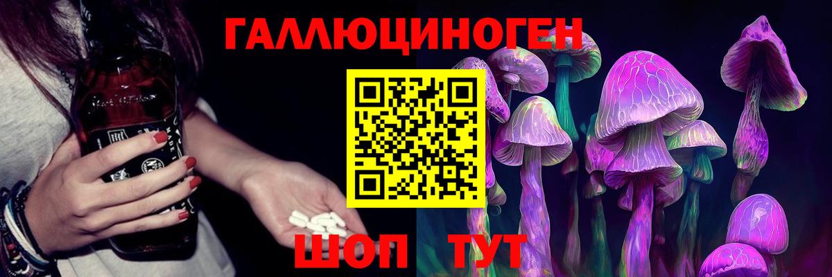 Галлюциногенные грибы Cubensis  Вход с VPN  Пугачёв 